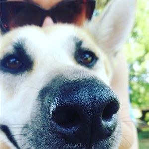 Meet your Posher, Katey